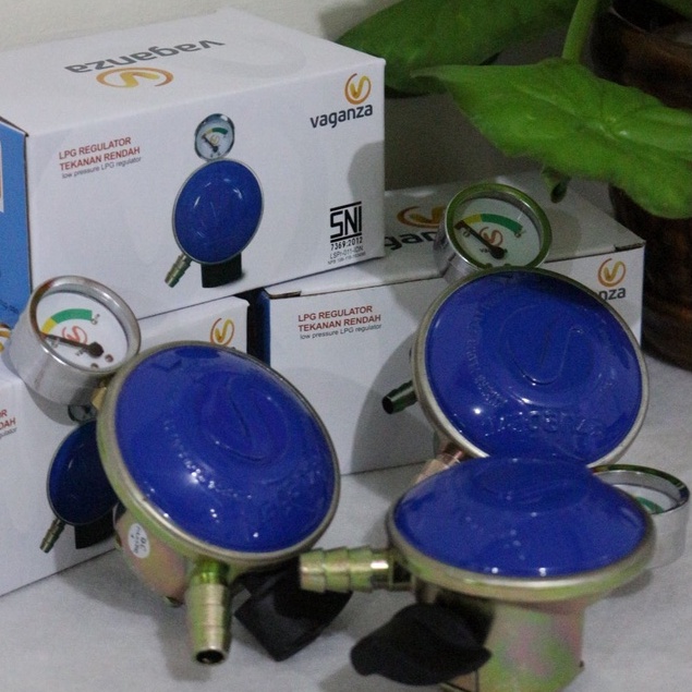 LPG REGULATOR VAGANZA