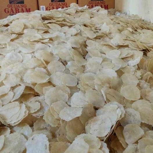 

COD EMPING MELINJO MENTAH ORIJINAL HAS PANDEGELANG 500 gm