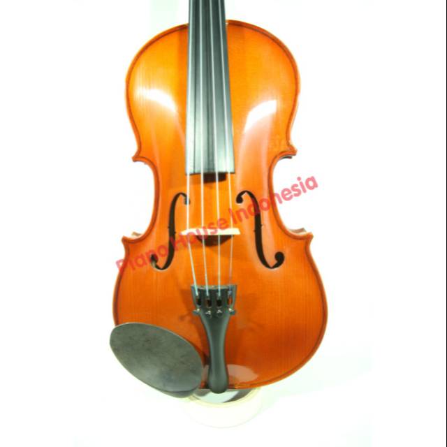 Viola shifen 15 - 16 inch