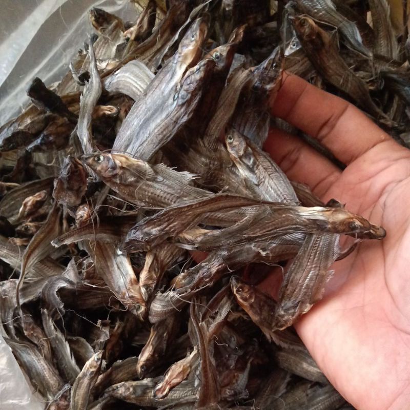 

LAIS KECIL | 1 KILOGRAM | TERMURAH | IKAN ASIN LAIS| IKAN ASIN SELAIS KECIL | ASLI KAPUAS HULU