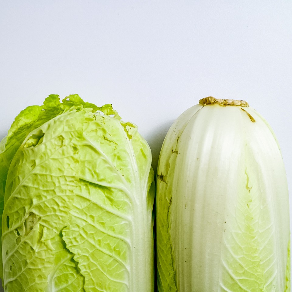 

Sawi 500 gr - Locarvest