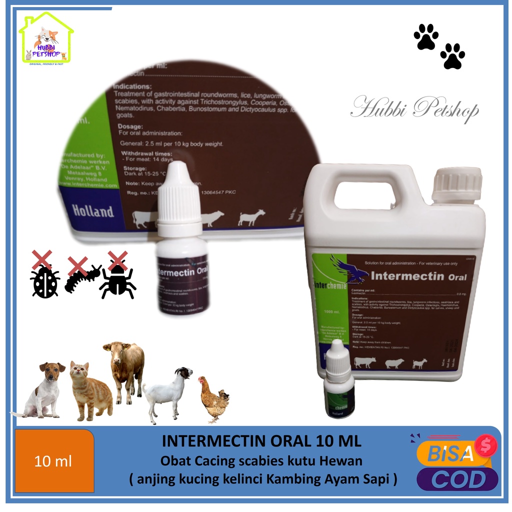 Obat Scabies Kucing / Obat kutu obat Cacing Kucing Anjing Sapi Ayam Kelinci Anti Parasit Oral - Intermectin Oral 10 Ml obat ampuh membasmi Kutu cacing kucing anjing kelinci