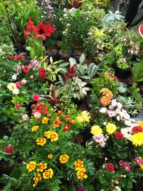 Atasan Batik Dolby Dolbi Dobby Doby Tenun Sutra Tulis Halus Katun Atbm Baron ,sarombit Atasan