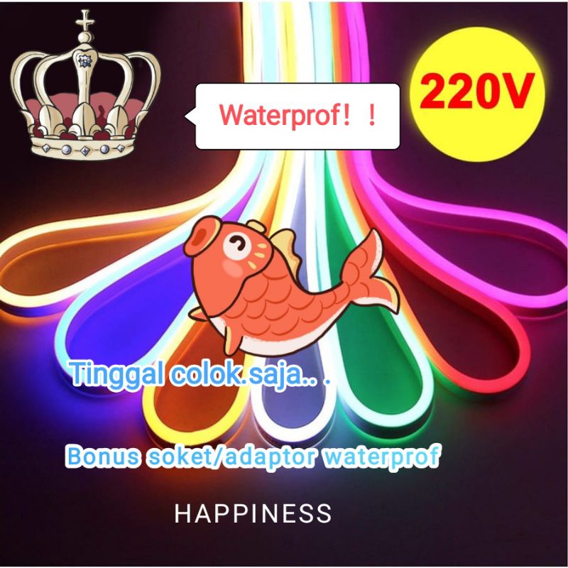 Lampu strip neon flexible waterproof ip 65 Paket 5 meter 10 meter Lengkap Tinggal Colok