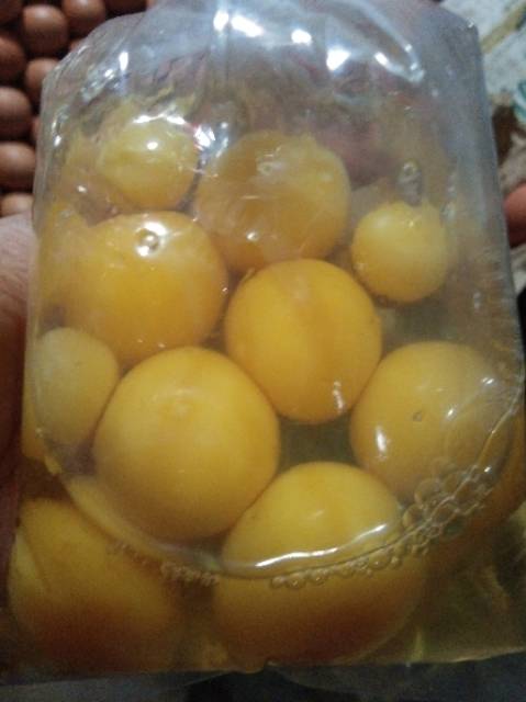 

Telur Burung Puyuh Segar Murah Besar 40 butir