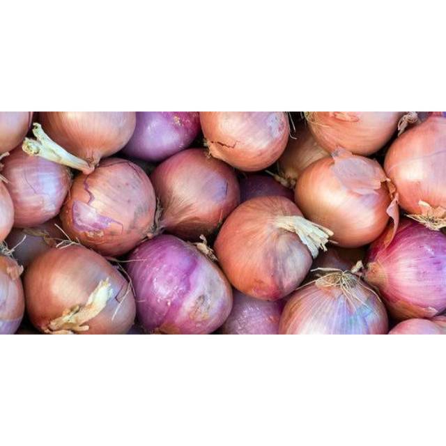 

BAWANG MERAH