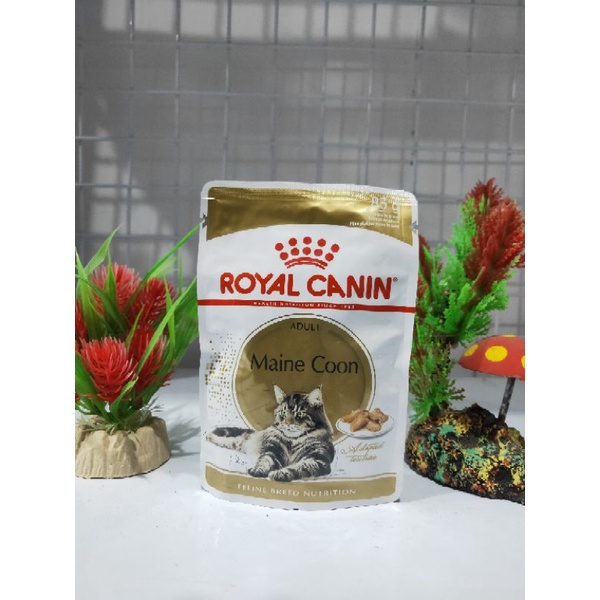 Royal Canin Pouch Mainecoon 85gram