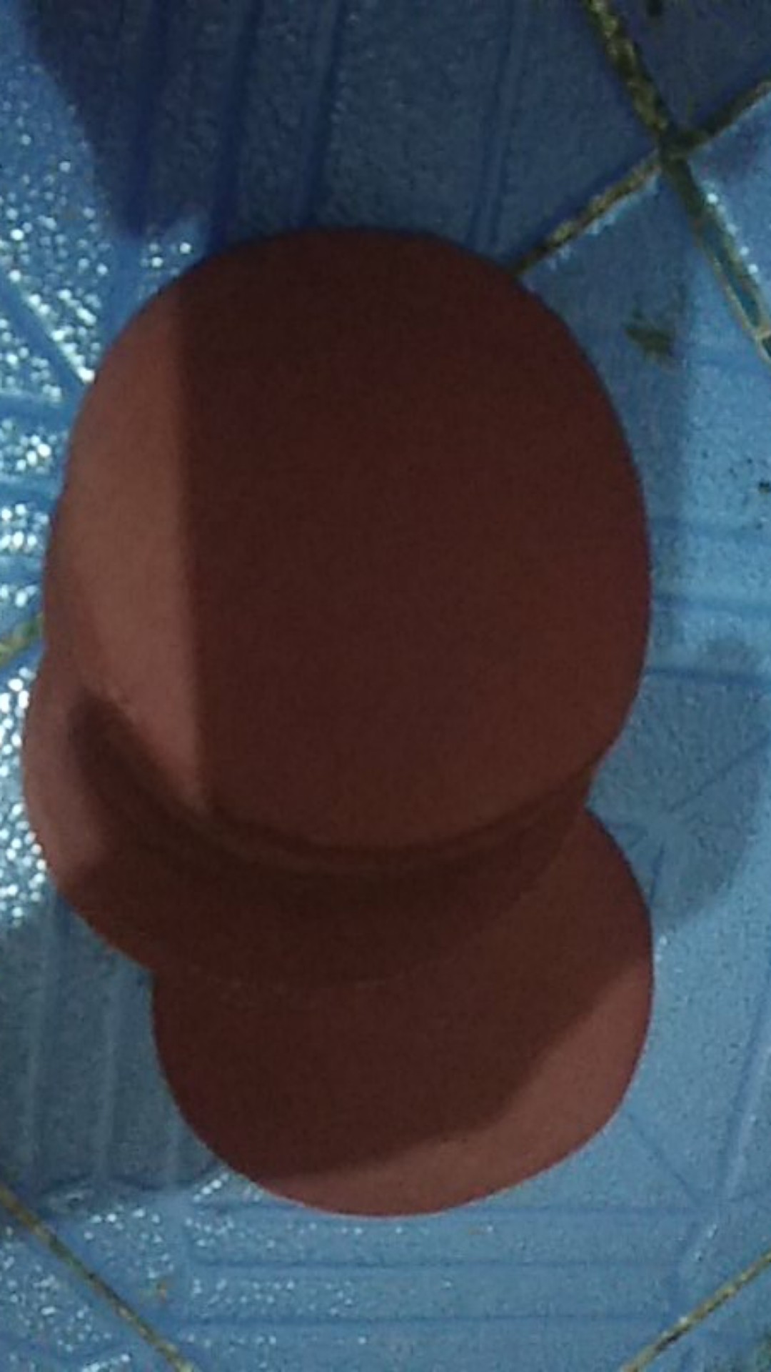 Amplas Bulat Velcro 4 Grit 60 80 100  120 150 180 220 240  400