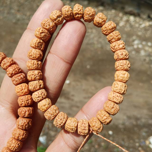 Jenitri rudraksha kecil cutting halus