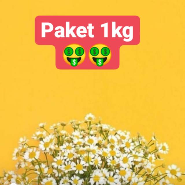 PAYMENT 1KG 20RB - 120RB