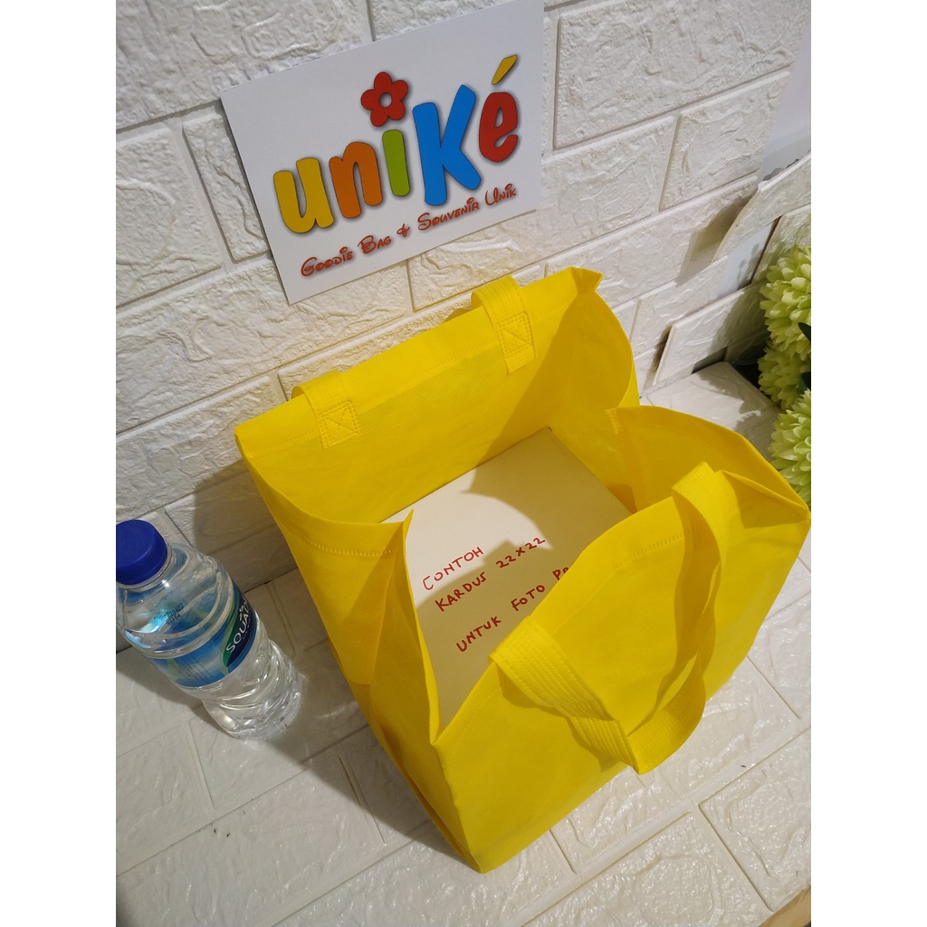 

Tas Hajatan Kotak Nasi 22x22 / Tas Sembako Parcel idul Fitri Goodie Bag Spunbond HBPA D22