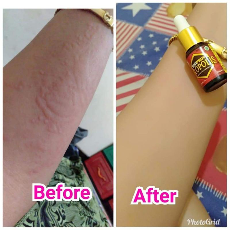 SUNPRO NASA / SUNPRO PROPOLIS