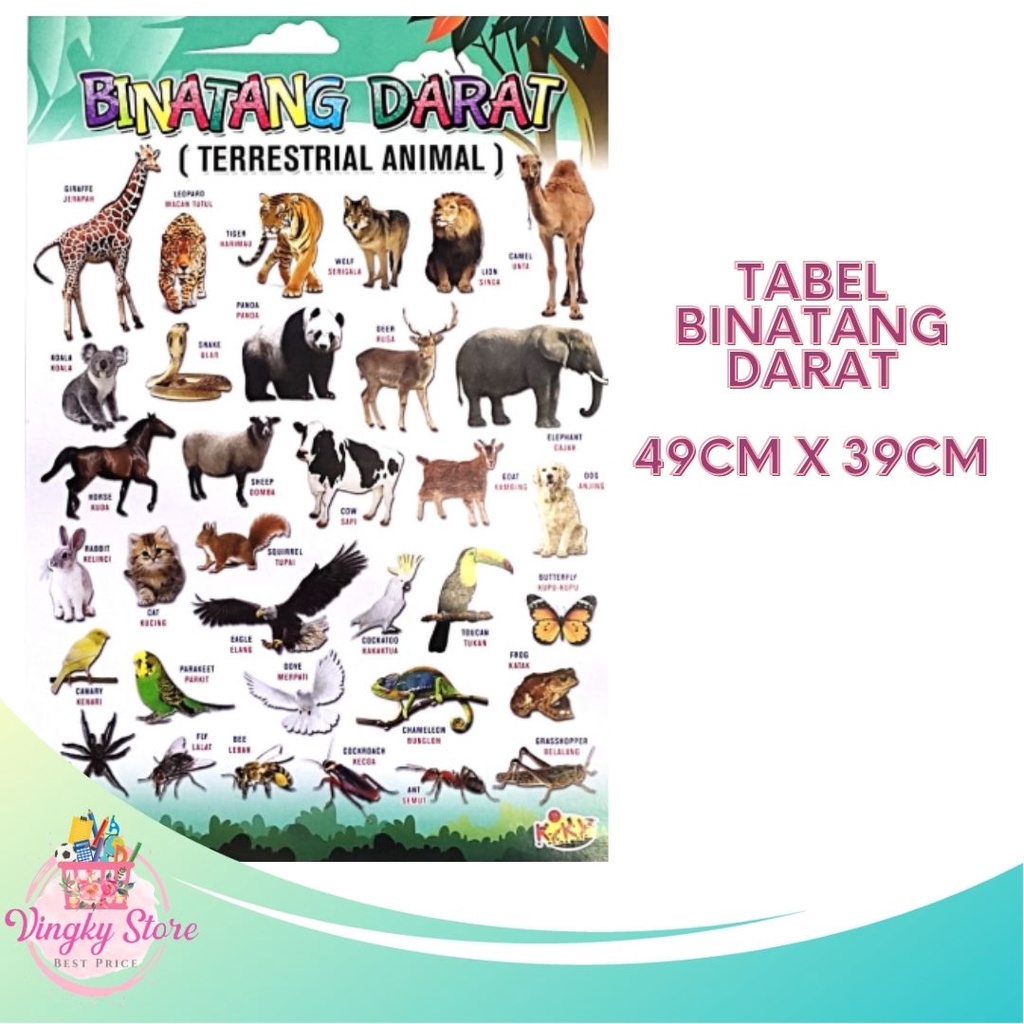 

Poster Edukasi Anak / Poster Kiky Tabel Binatang Darat