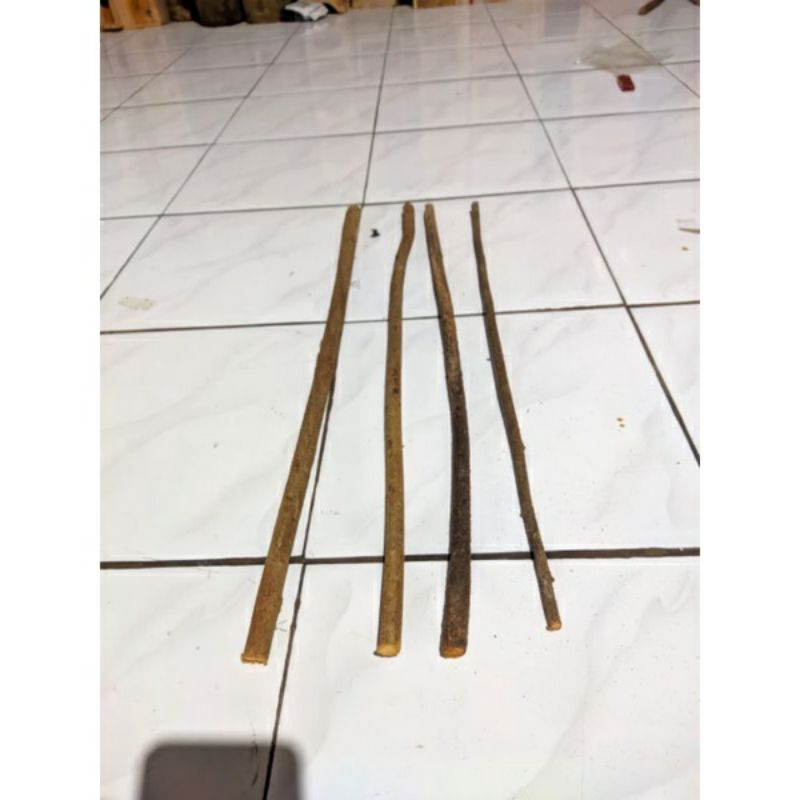 Tangkringan burung murai kayu asem bali super