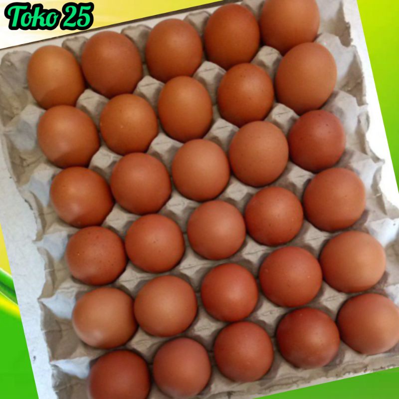 grosir telur ayam 1 papan 30 butir