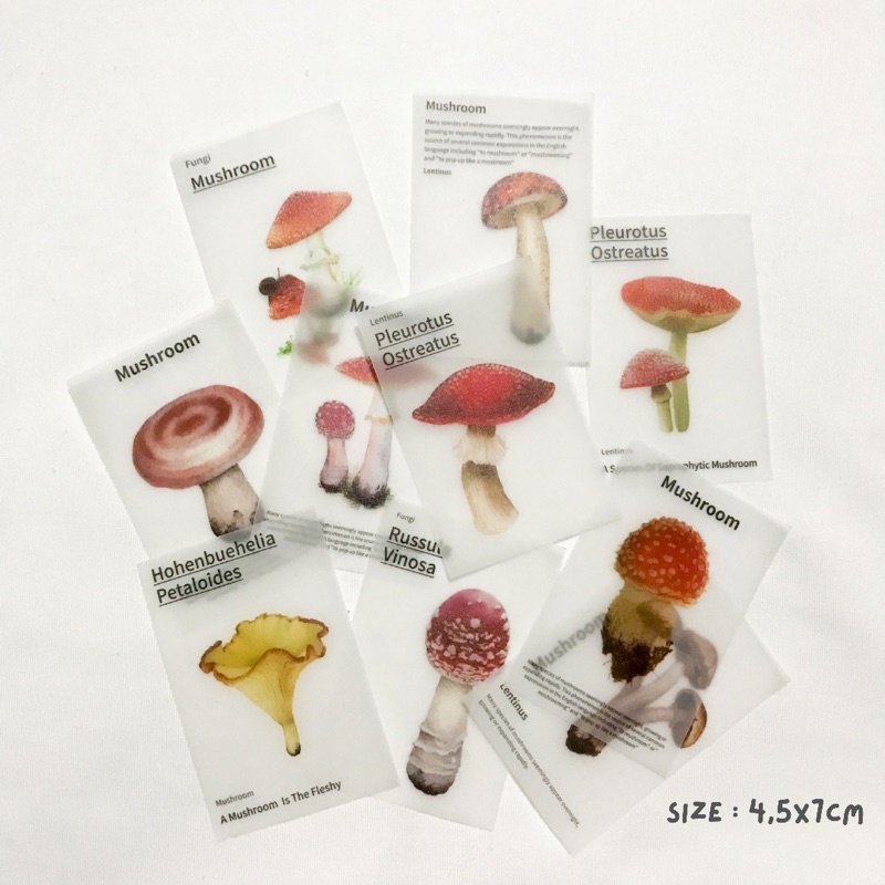 [PART 3] Vintage Flake Perintilan Journal Vintage Kertas Memo Aesthetic Deco Journal Scarpbook-Fungi trans