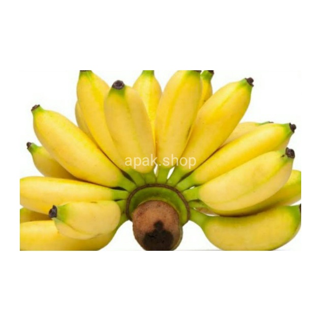 

Pisang Banten | Pisang Susu 1 sisir
