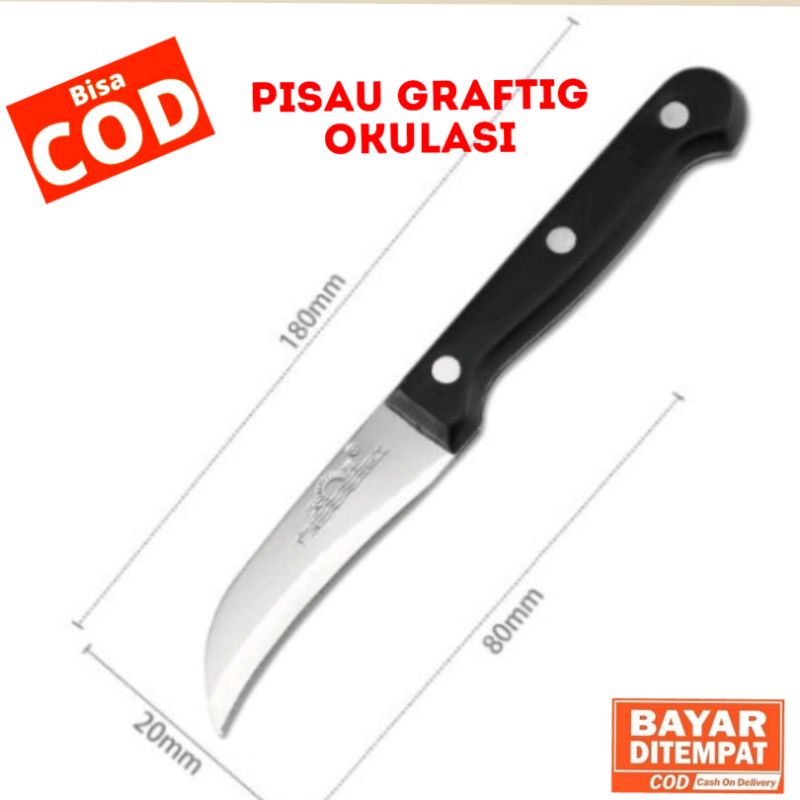 PISAU OKULASI CANGKOK SAMBUNG PUCUK GRAFTING, PISAU GRAFTING