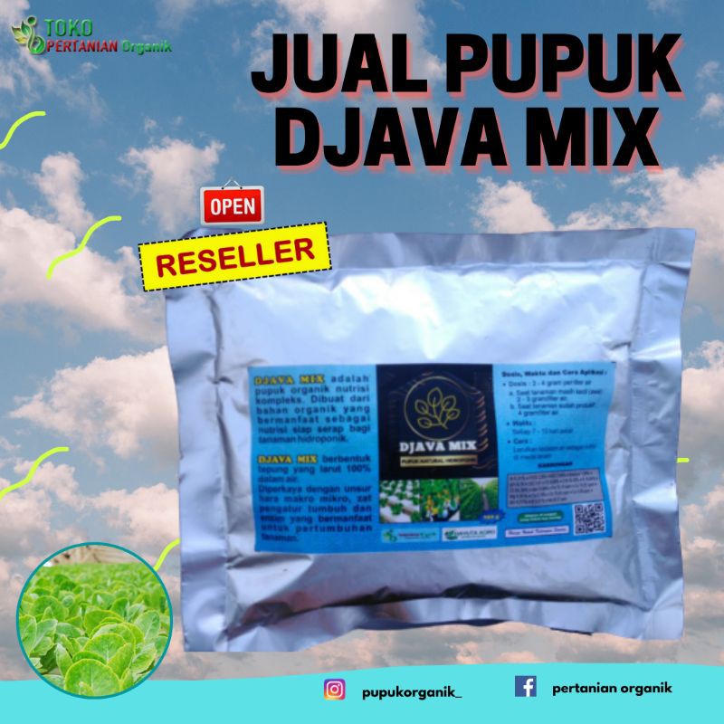 Pupuk hidroponik bawang merah, Nutrisi tanaman cabe