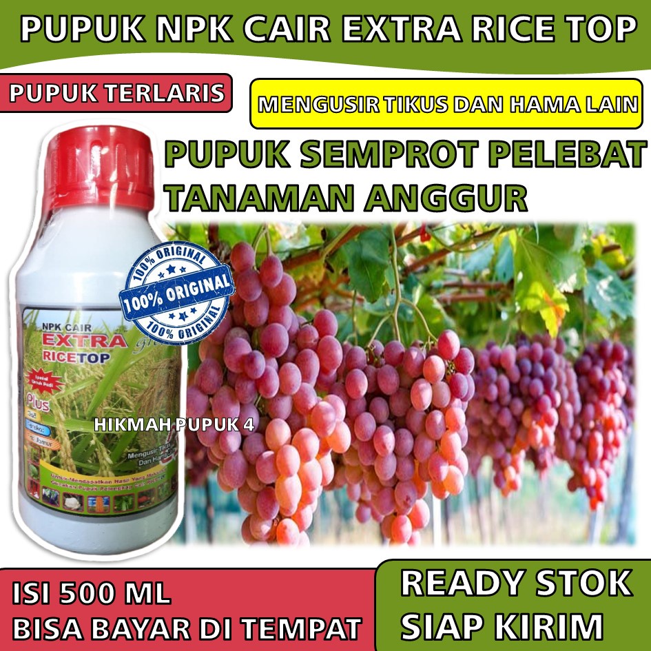 PUPUK NPK CAIR EXTRA RICETOP 500 ML Pupuk Semprot Pelebat Tanaman Anggur - Pupuk Perangsang Pada Tan