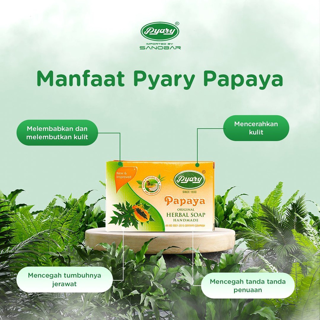 Sabun PYARY PAPAYA [BPOM]  - Original 100% Soap PEPAYA RI NA17190500009 | Kecantikan