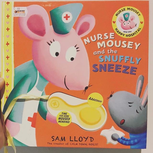 Nurse Mousey Book