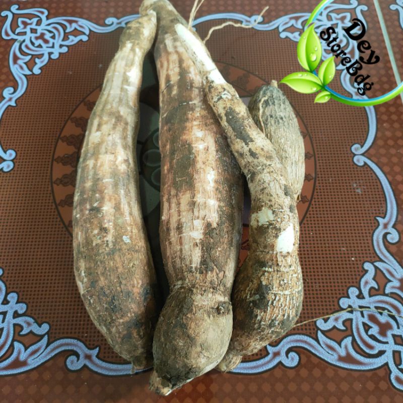 

jual singkong racun 500 Gram singkong kerikil