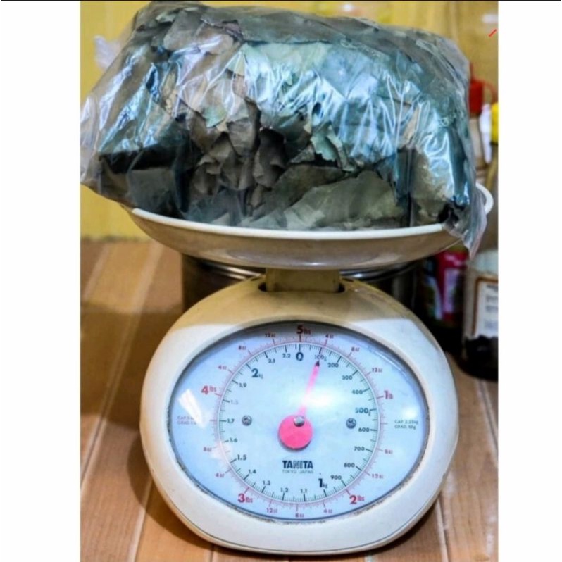 DAUN SUKUN HERBAL ALAMI KEMASAN 250 GRAM