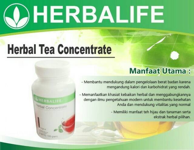 Thermo Tea Herbalife Herbal Tea Concentrate Shopee Indonesia