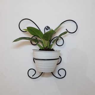 Gantungan Pot Bunga dinding gaya kupu kupu Shopee Indonesia Gantungan Pot Bunga dinding gaya kupu kupu Shopee Indonesia