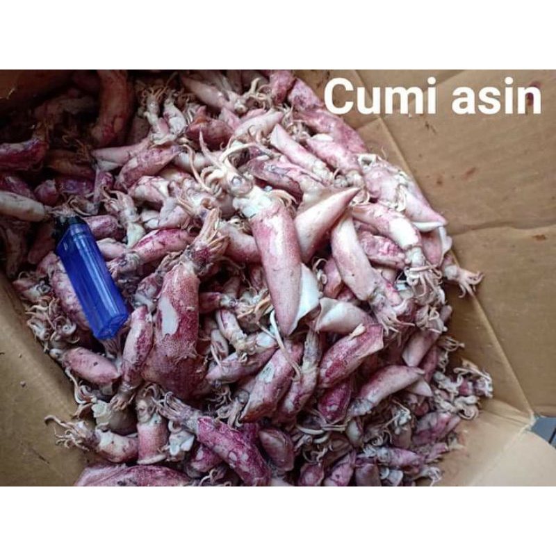

ikan asin