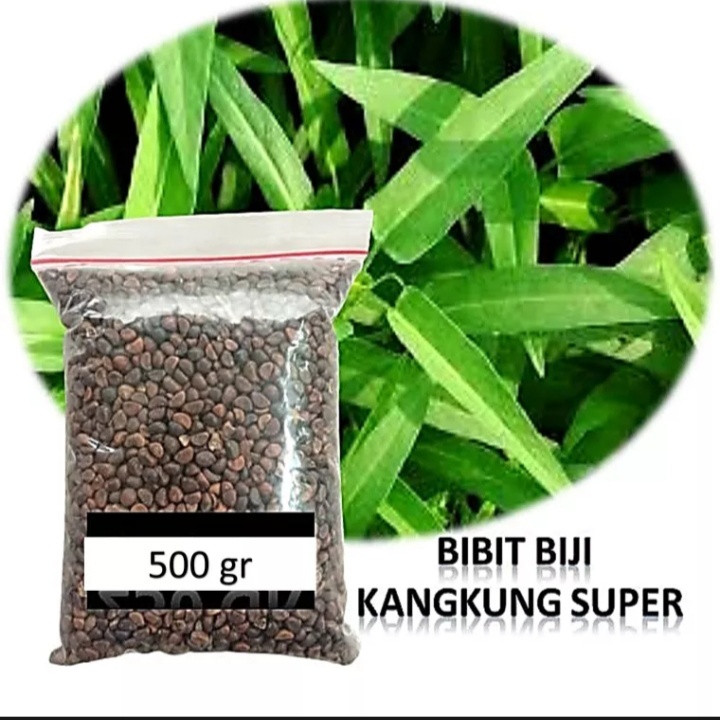 

Biji kangkung super 500 gr