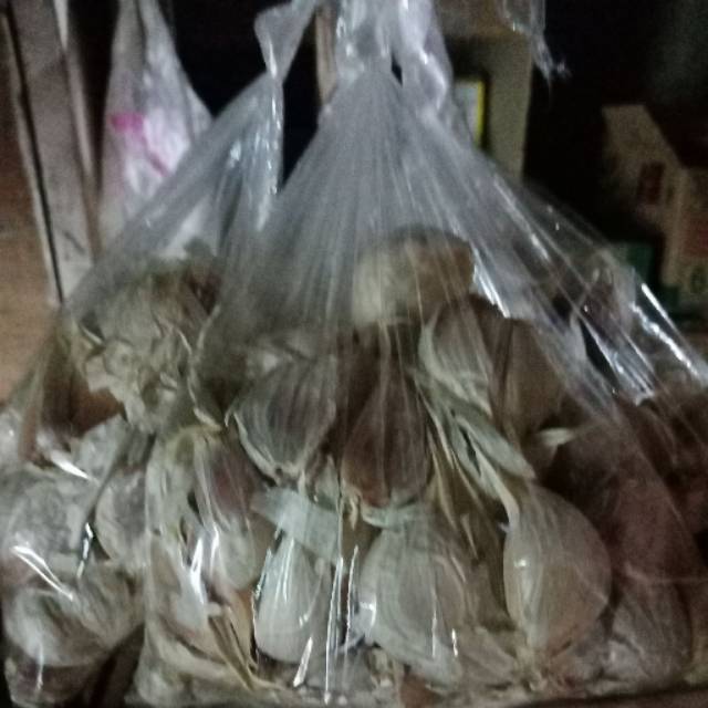 

Bawang putih kating bersih 500 gr