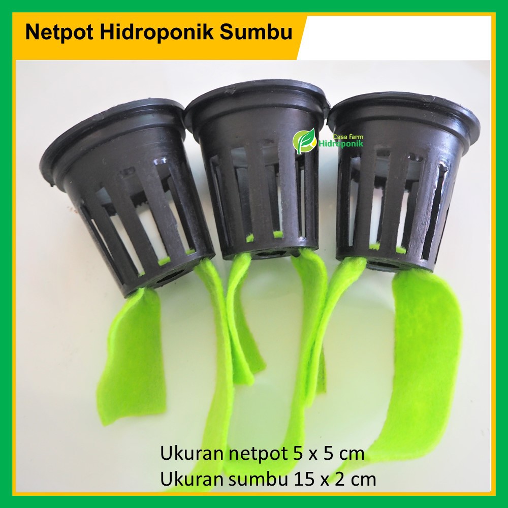 30+ Trend Terbaru Netpot Untuk Hidroponik