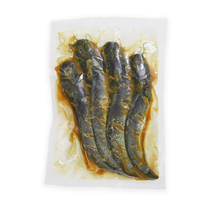 

LELE BUMBU SAMBEL TERASI SIAP GORENG