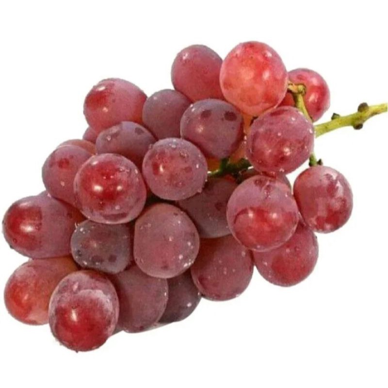 

Buah Segar Anggur 500 gr