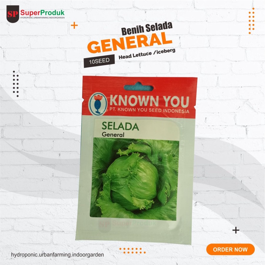 Benih Selada General-Head Lettuce-Iceberg Known You Seed