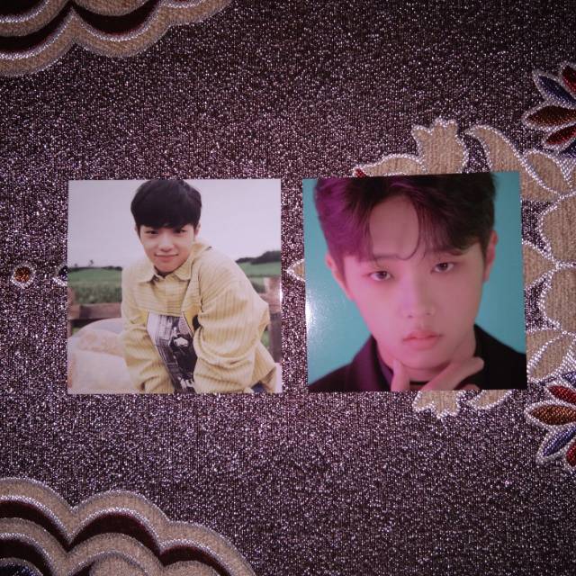 [Official] X1 Photo Card PC Son Dongpyo Dong Pyo