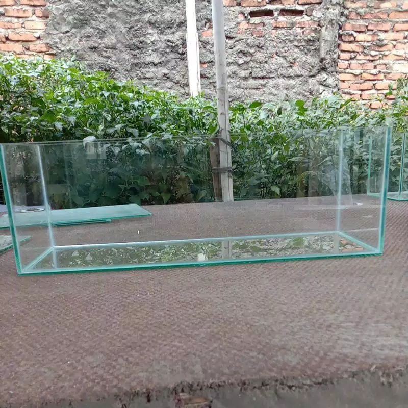 Aquarium aquascape P. 60 L. 20 T. 20/ aquarium custom/aquarium ikan gabus chana Bonus Tanman apu apu