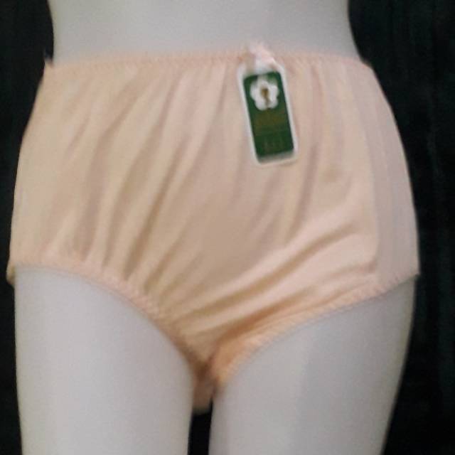 Celana Dalam Merk Plum Wanita Kode : 547 Size L4