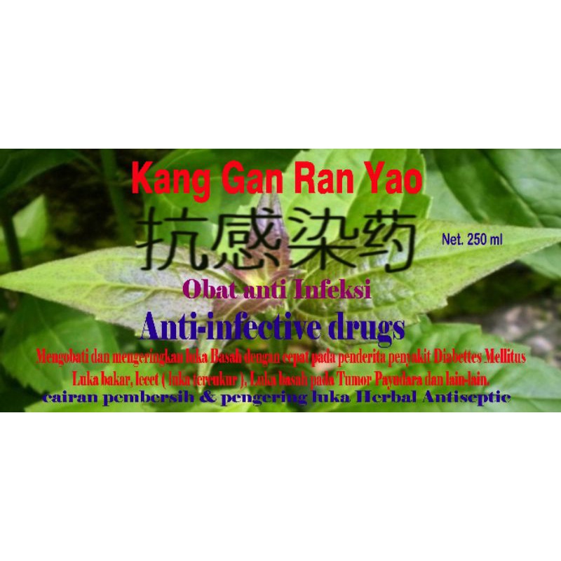 CAIRAN PEMBERSIH DAN PENGERING LUKA HERBAL ANTISEPTIC KHUSUS UNTUK PENYAKIT DIABETES (GULA BASAH)