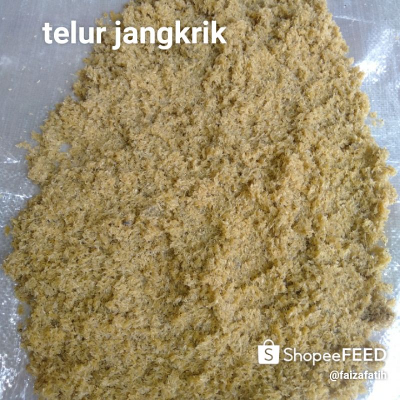 

TELUR JANGKRIK ALAM