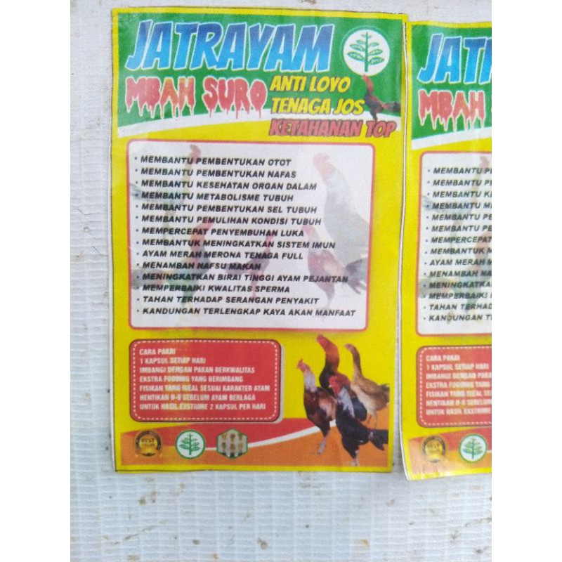 

Jamu Ayam Mbah Suro