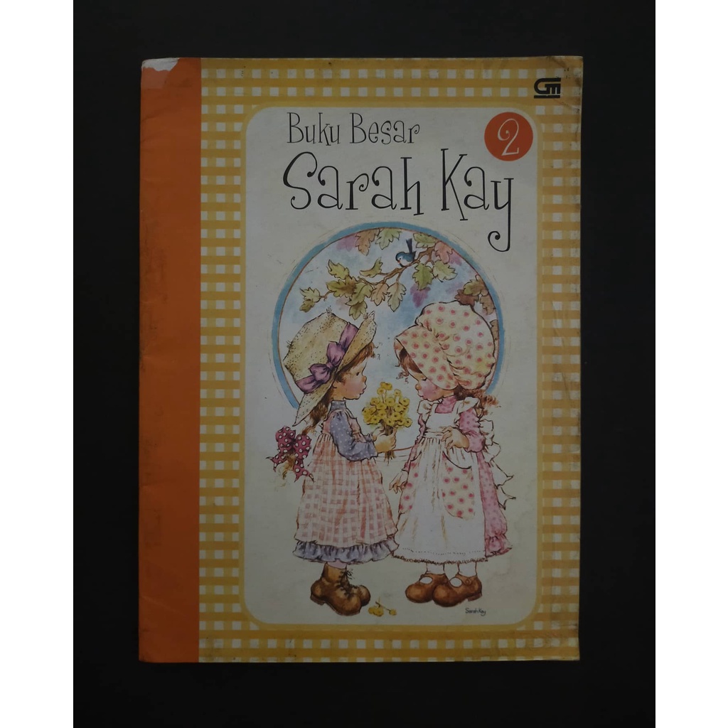 Buku Anak Buku Besar Sarah Kay 2