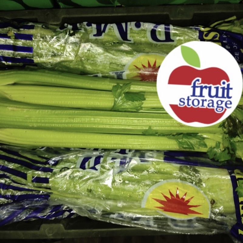 

Celery stick / seledri batangan / stalk batang 1kg kiloan kg