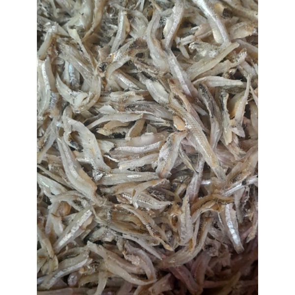 

Teri jengki belah medan