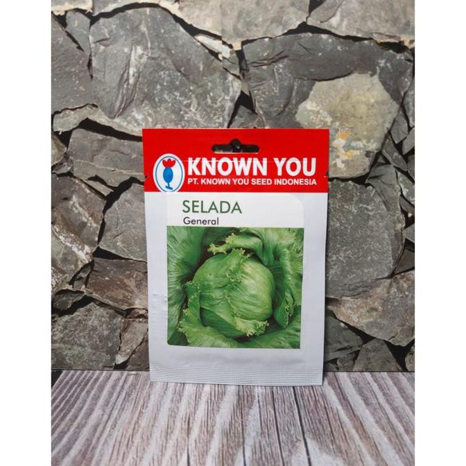 Produk Ready Isi 1Gram Benih Sayuran Selada General - Head Lettuce (Known You Seed)