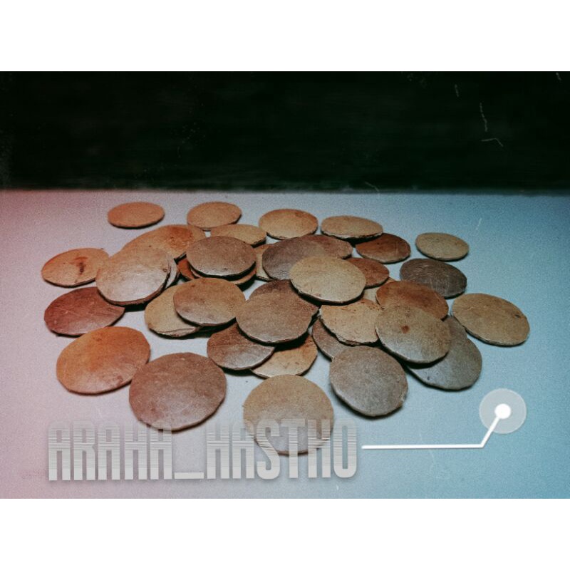 Bonsai aquascape/tatakan moss