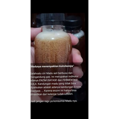 

madu sumbawa ori 100%