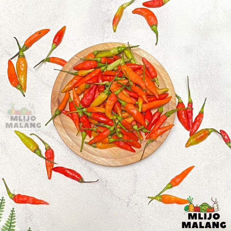 

Cabe Rawit Merah / Cabe Kecil / Lombok